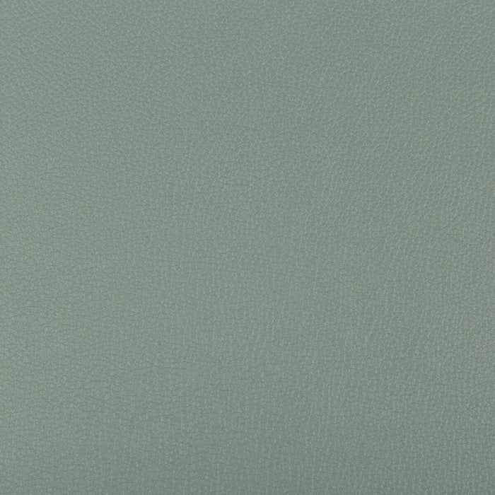 Kravet Contract Syrus Herbal Fabric SYRUS.3511.0