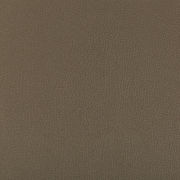 Kravet Contract Syrus Porcini Fabric SYRUS.606.0
