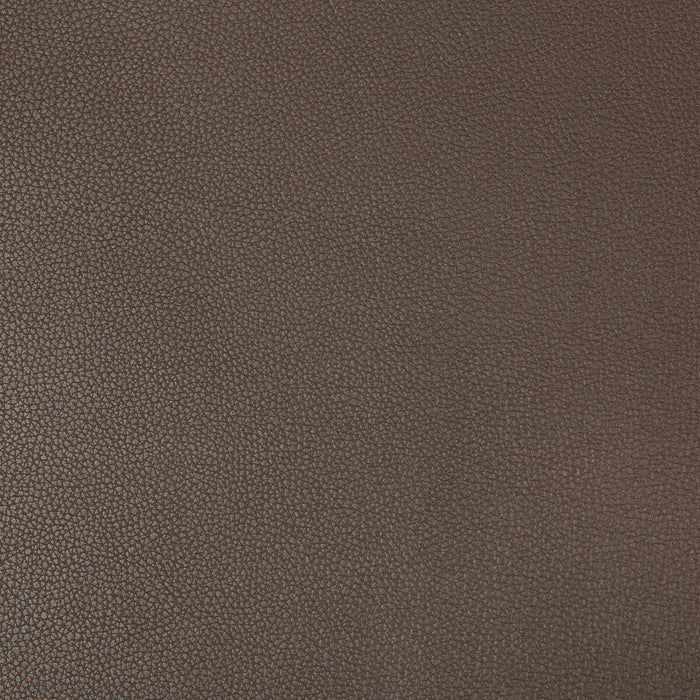 Kravet Contract Syrus Espresso Fabric SYRUS.66.0