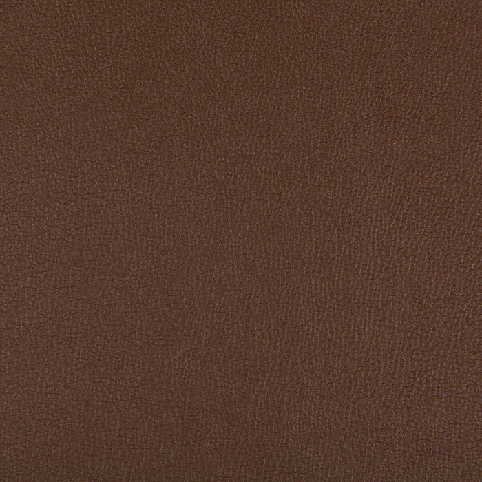 Kravet Contract Syrus Chocolate Fabric Sample SYRUS.6.0