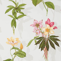 Boussac Ombre Pink Wallpaper W4641001