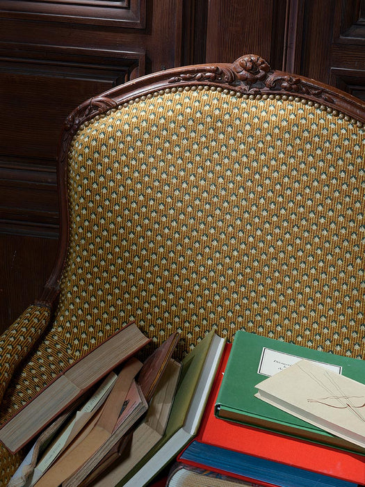 Braquenie Montresor Buisson Fabric Sample B7663001