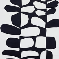 Pierre Frey Surprise Noir & Blanc Fabric F3485001