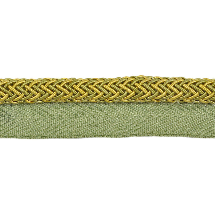 Kravet Design Electric Edge Sour Green Trim Sample T30646.34.0