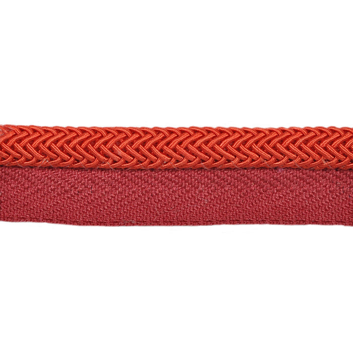 Kravet Design Electric Edge Fanta Trim Sample T30646.924.0