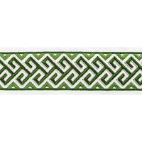 Brunschwig & Fils Audette Tape Leaf Trim T8022101.3.0