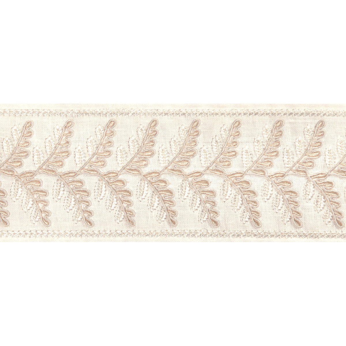 Brunschwig & Fils Fougere Border Cream Trim Sample T8024100.1116.0