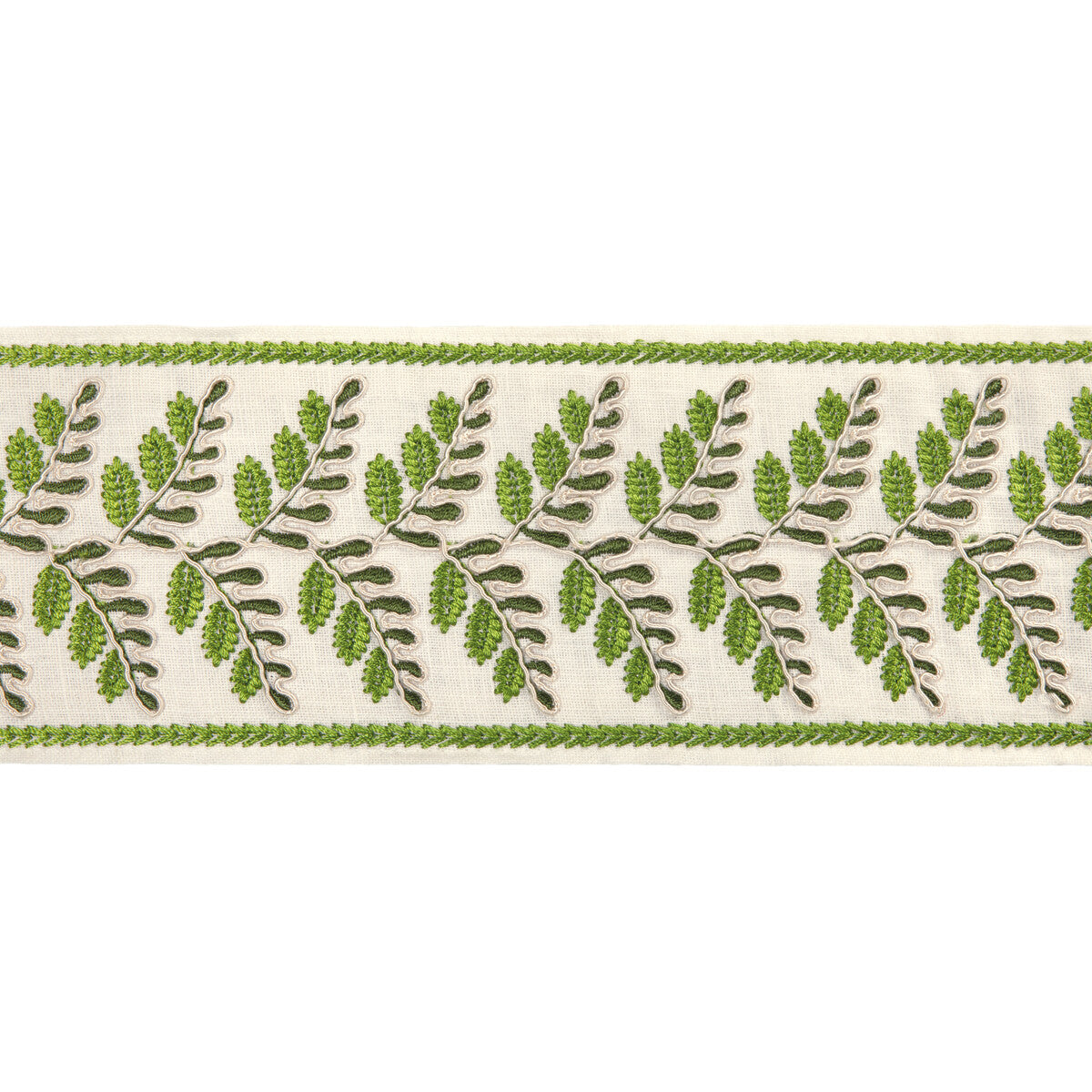 Brunschwig & Fils Fougere Border Leaf Trim Sample T8024100.3.0
