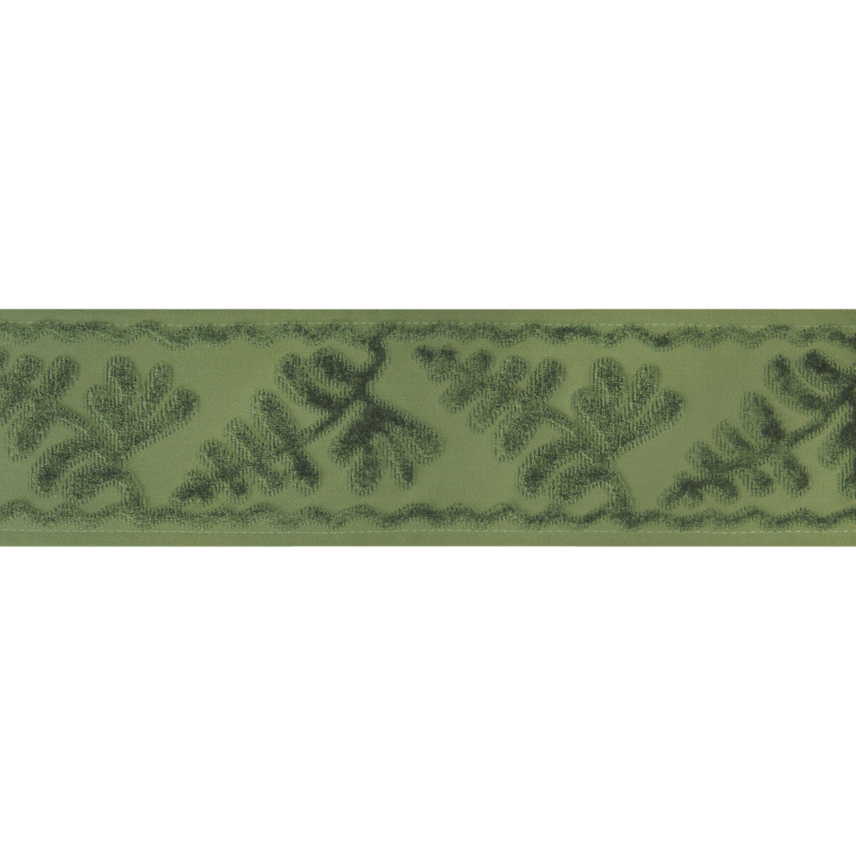 Brunschwig & Fils Cassis Tape Sage Trim Sample T8024101.30.0