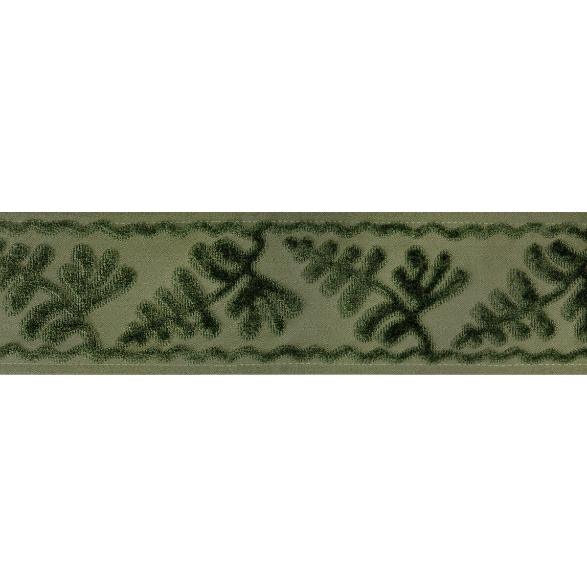 Brunschwig & Fils Cassis Tape Peridot Trim Sample T8024101.3.0