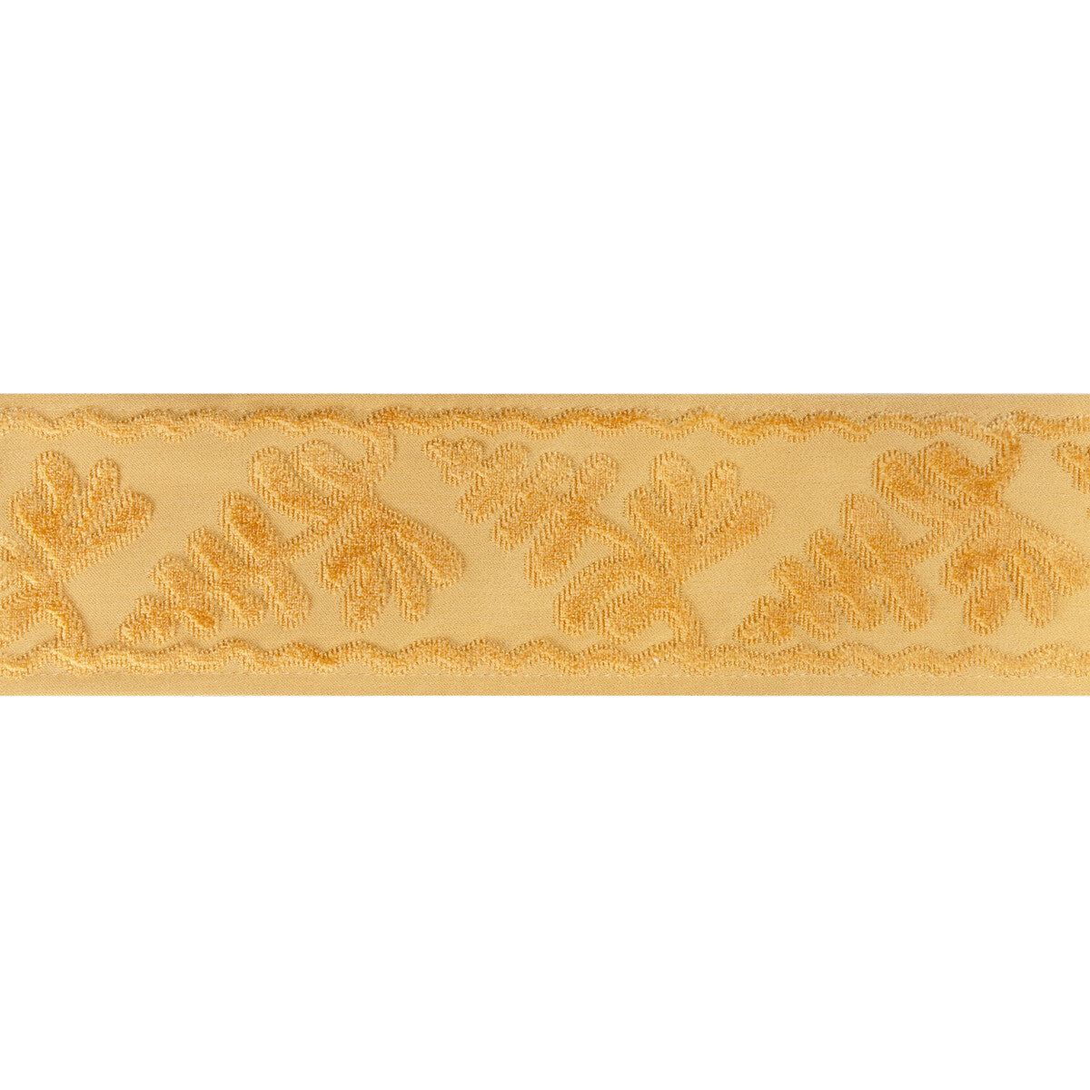 Brunschwig & Fils Cassis Tape Gold Trim Sample T8024101.4.0