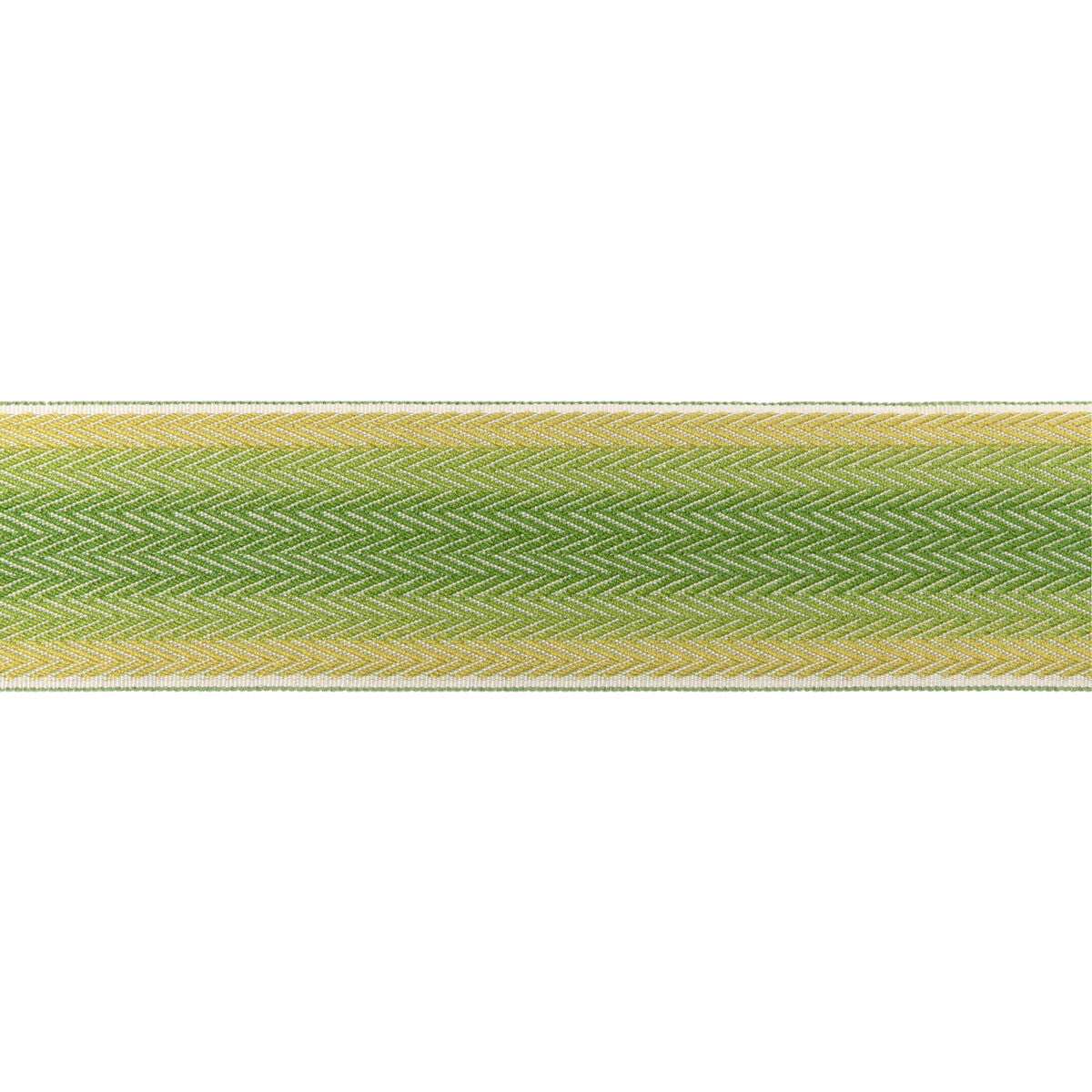 Brunschwig & Fils Barfleur Tape Leaf Trim Sample T8024105.3.0