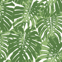 Seabrook Designs Jamaica Basil Green And White Wallpaper TA20004