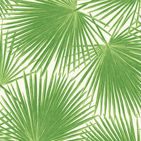Seabrook Designs Aruba Fern Green And White Wallpaper TA20204