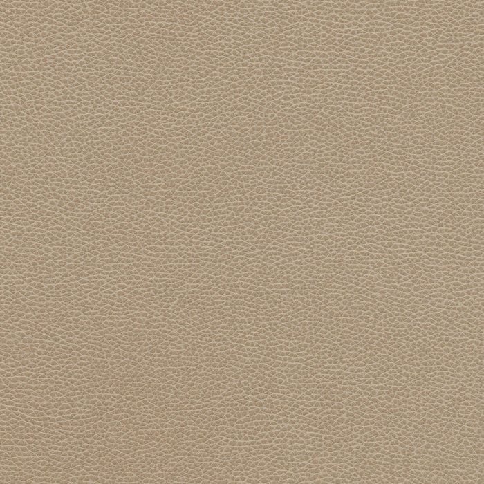 Kravet Design TANNIN.11.0 Fabric