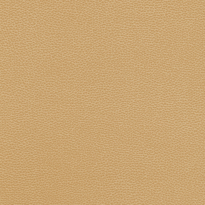 Kravet Design TANNIN.16.0 Fabric