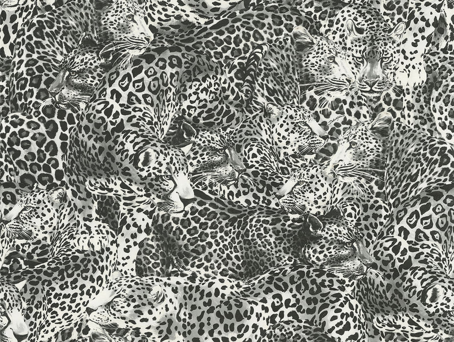 Seabrook Designs Leopardo Incognito Alessandra Wallpaper Sample TCW007TCAHOUL030