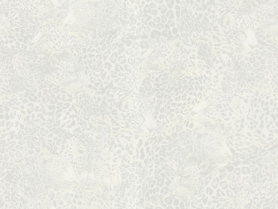 Seabrook Designs Leopardo Incognito Tigre Wallpaper Sample TCW007TCAHOUL041