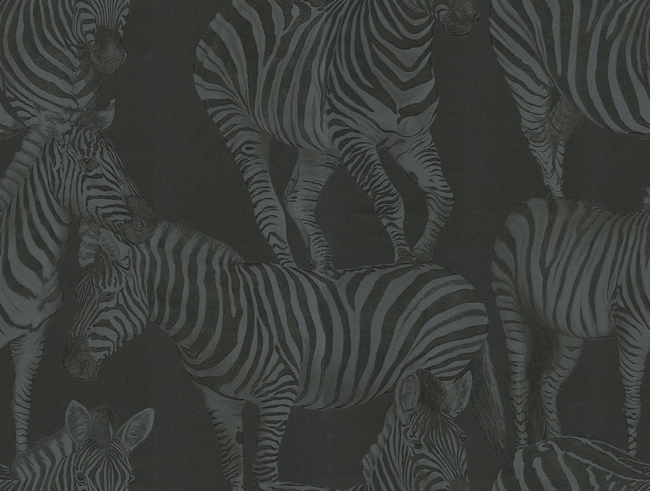 Seabrook Designs Zebra Romance Misterioso Wallpaper Sample TCW007TCAHOUZ018