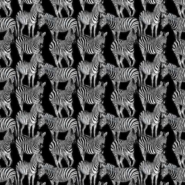 Seabrook Designs Multi Zebra Mural Tullio Wallpaper Sample TCW009TCAI5UZ018