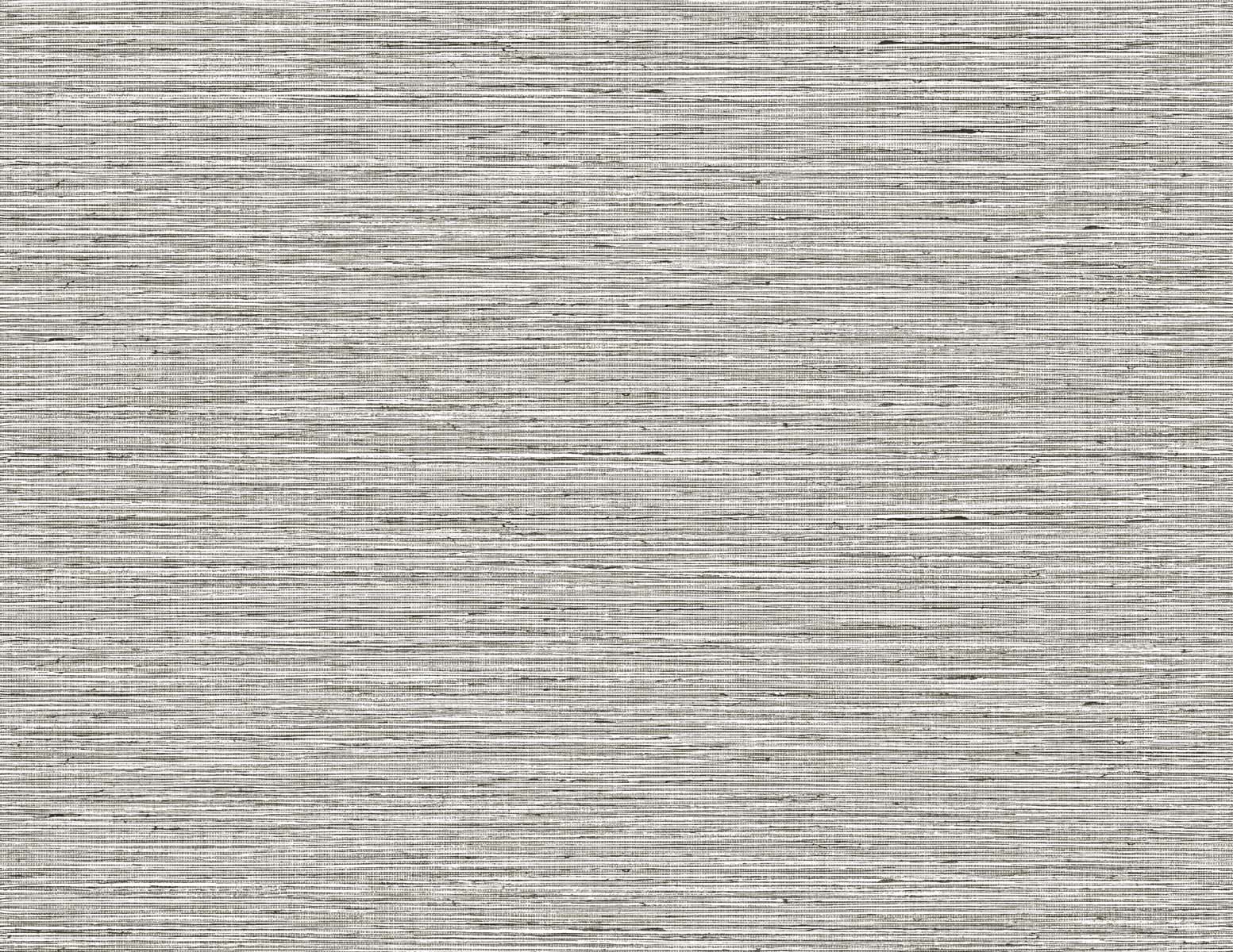 Seabrook Designs Edmond Faux Sisal Dalmatian Wallpaper TG60302