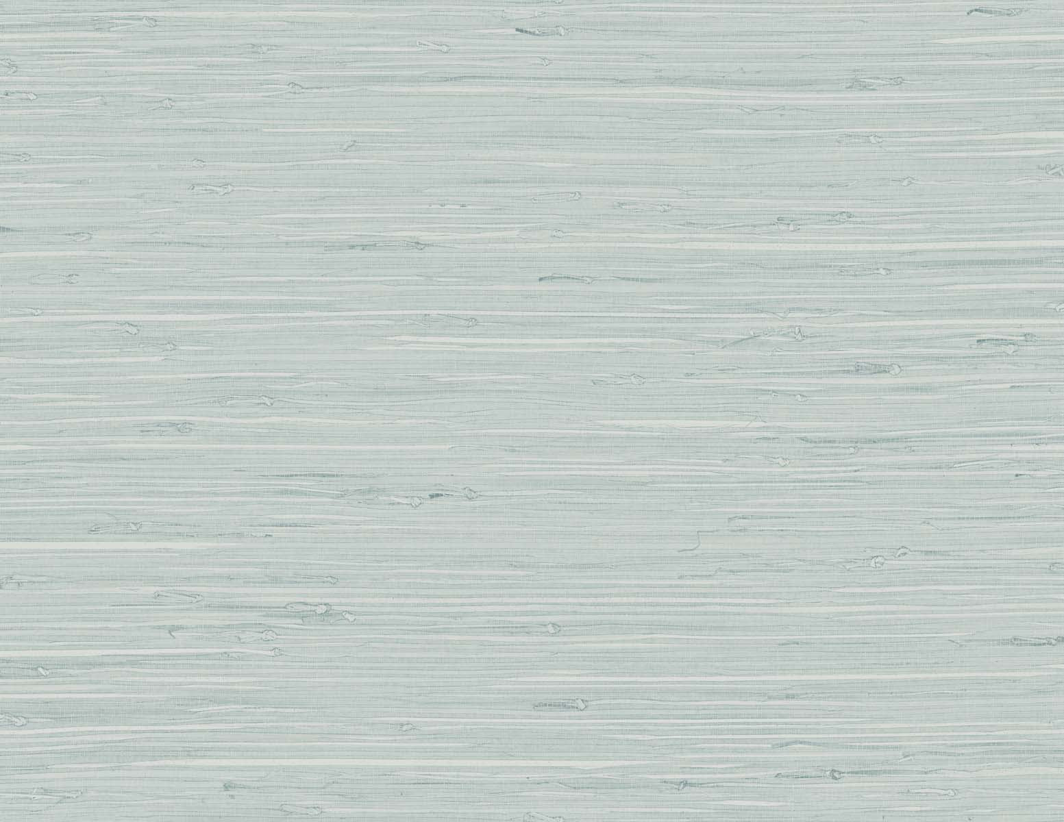 Seabrook Designs Marion Faux Arrowroot Pale Sky Wallpaper Sample TG60519