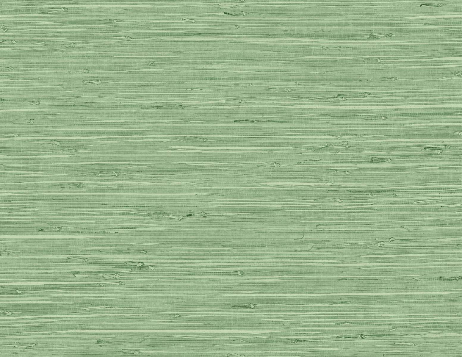 Seabrook Designs Marion Faux Arrowroot Spring Forest Wallpaper Sample TG60534