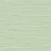 Seabrook Designs Marion Faux Arrowroot Frosted Grass Wallpaper TG60535