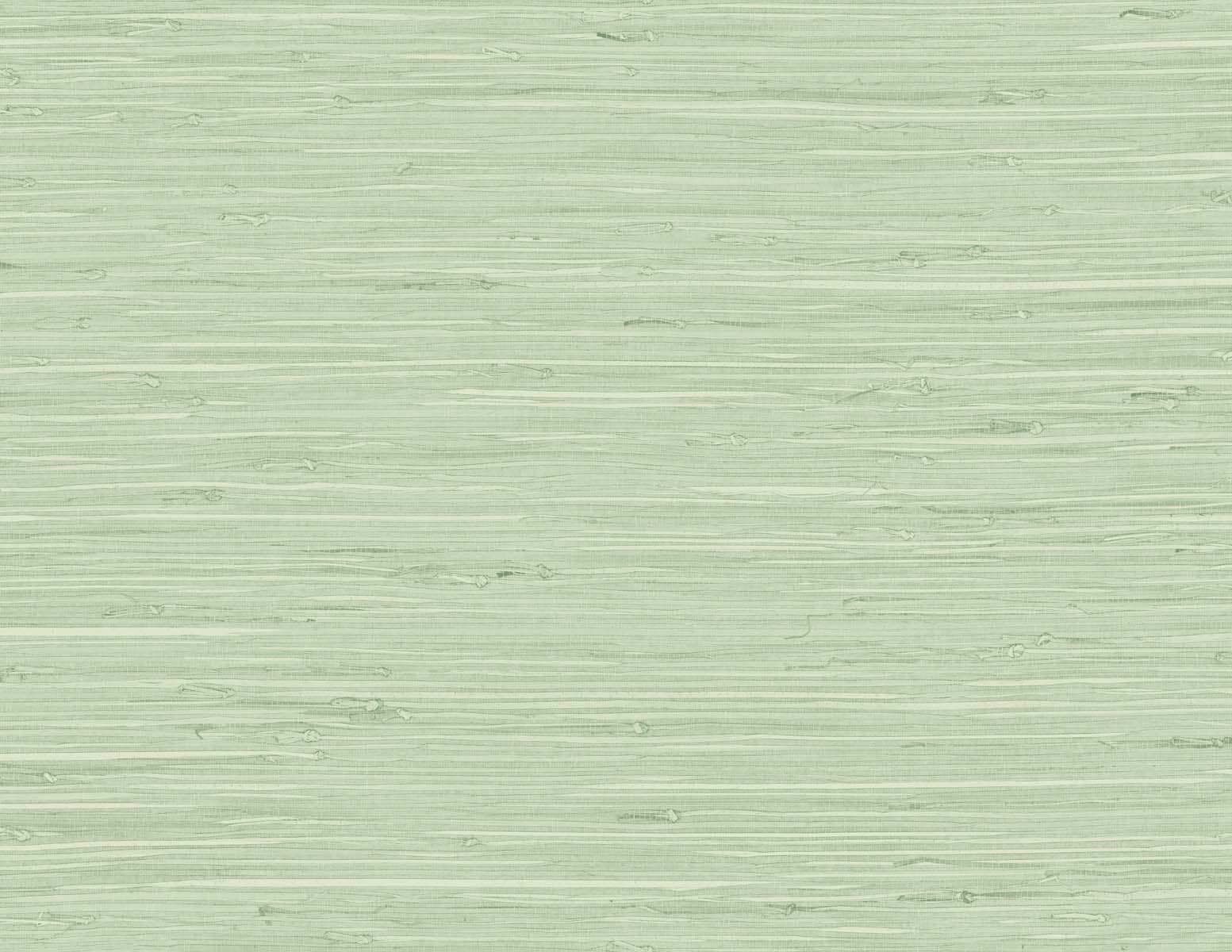 Seabrook Designs Marion Faux Arrowroot Frosted Grass Wallpaper Sample TG60535