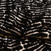 JF Fabrics Tiger 99 Fabric 6000899