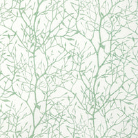 Kravet Basics Timber Top Grass Fabric TIMBER TOP.3.0