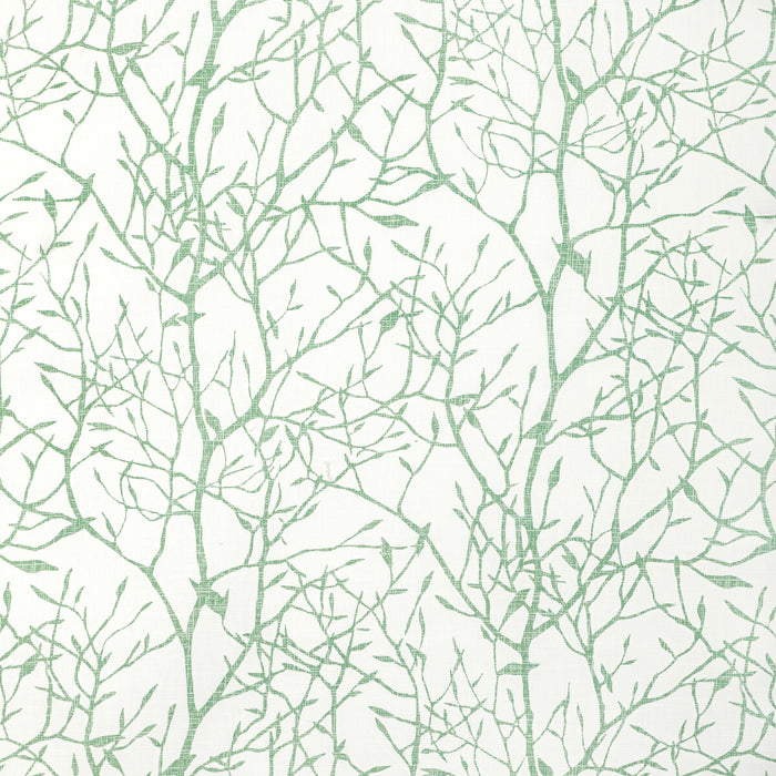 Kravet Basics Timber Top Grass Fabric TIMBER TOP.3.0