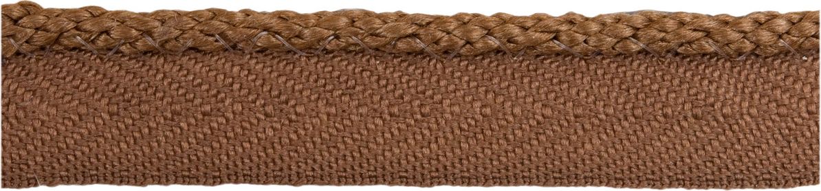 Lee Jofa Pencil Line Sable Trim Sample TL10119.46.0