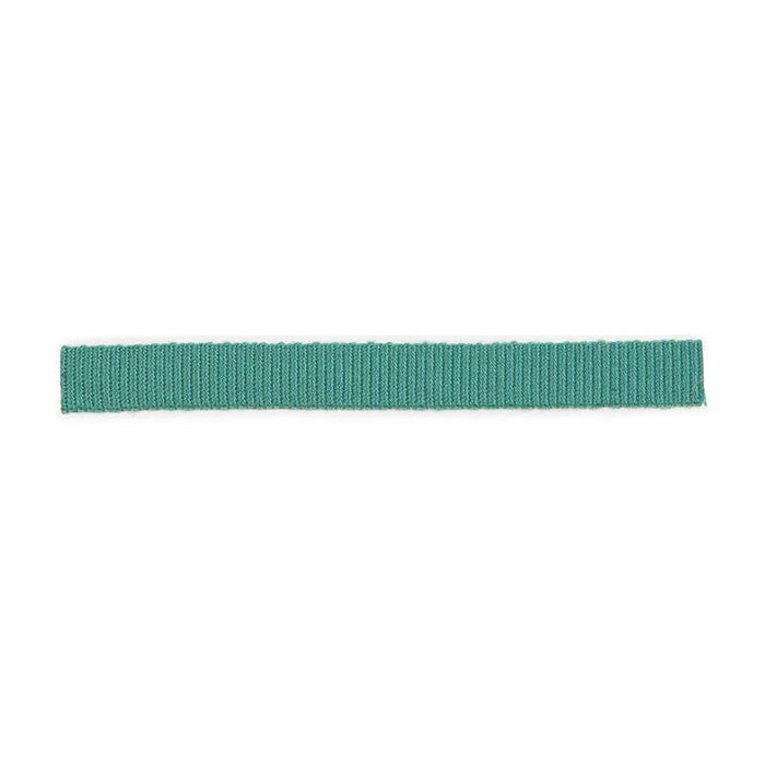 Lee Jofa Mini Border Lagoona Trim Sample TL10120.533.0