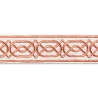Lee Jofa Shire Emb Tape Terra Trim TL10196.124.0