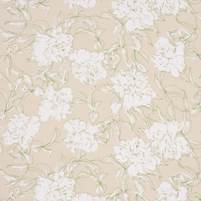 Schumacher Peony Silhouette Leaf Fabric TL400061
