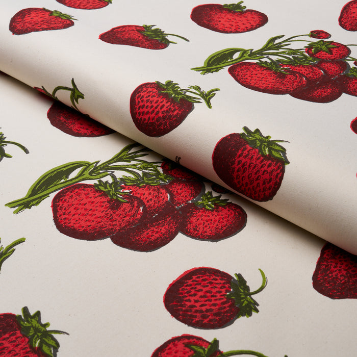 Schumacher Strawberry Fields Red Fabric TL400081