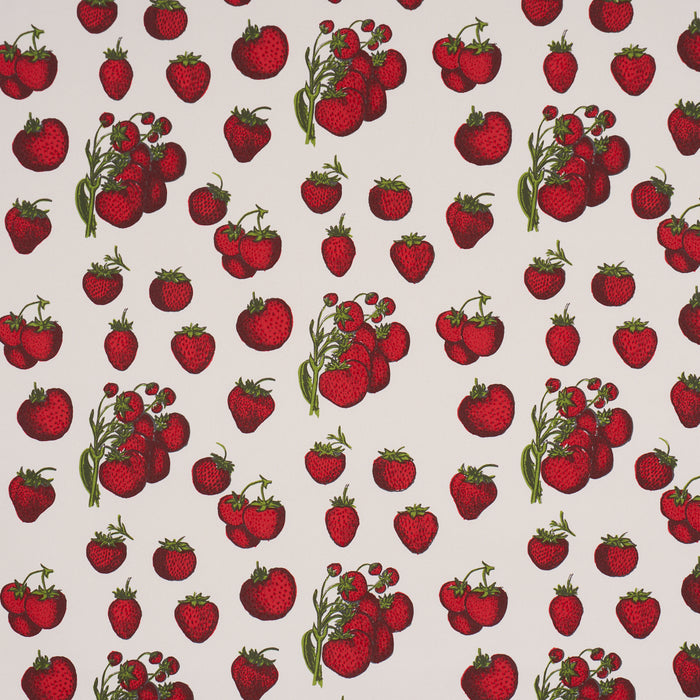 Schumacher Strawberry Fields Red Fabric TL400081