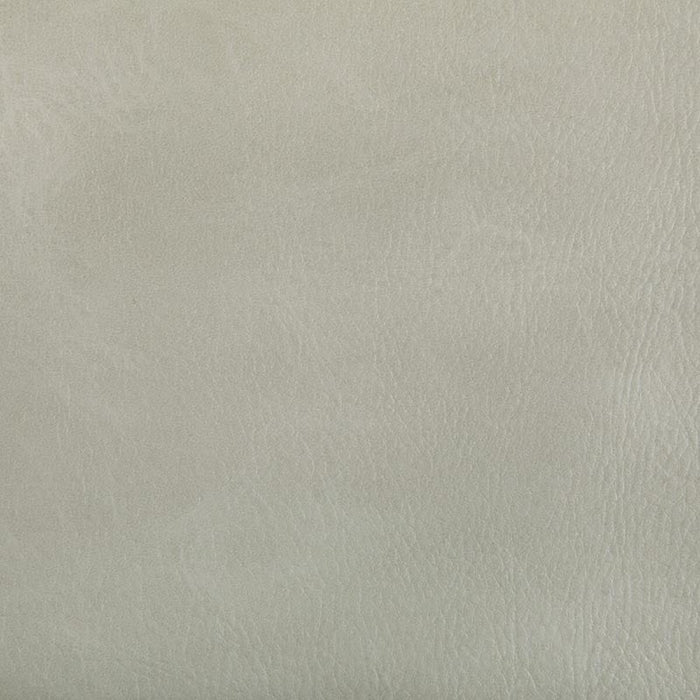 Kravet Contract Toni Limestone Fabric Sample TONI.101.0