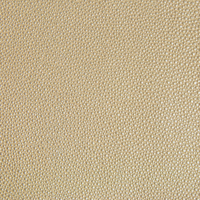 Kravet Design TREZZO.16.0 Trezzo-16 Fabric