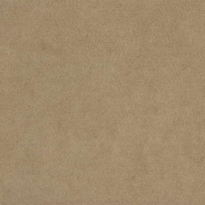 Kravet Design Ultrasuede Shroom Fabric Sample ULTRASUEDE.1166.0