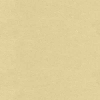 Kravet Design Ultrasuede Cream Fabric ULTRASUEDE.1416.0