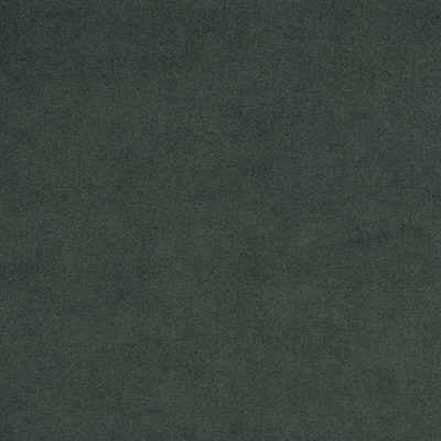 Kravet Design Ultrasuede Alpine Fabric Sample ULTRASUEDE.330.0