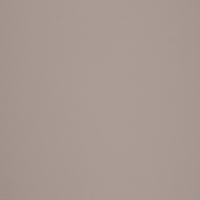 Charlotte V1001 Dove Fabric
