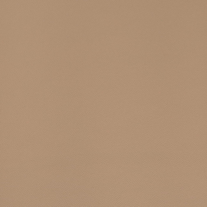 Charlotte V1004 Oat Fabric