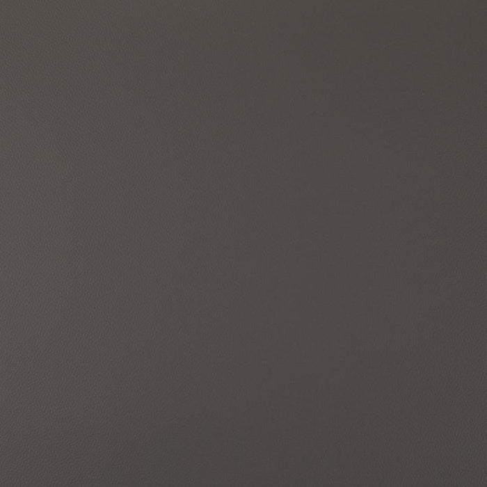 Charlotte V1005 Steel Fabric Sample