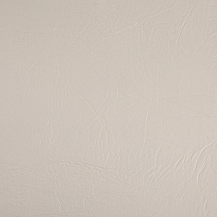 Charlotte V1008 Sugar Fabric