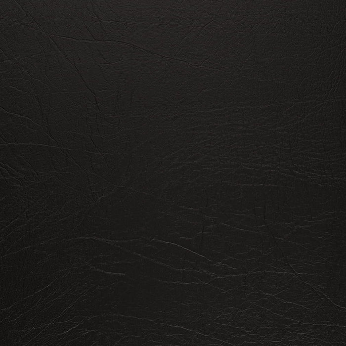 Charlotte V1009 Ebony Fabric Sample