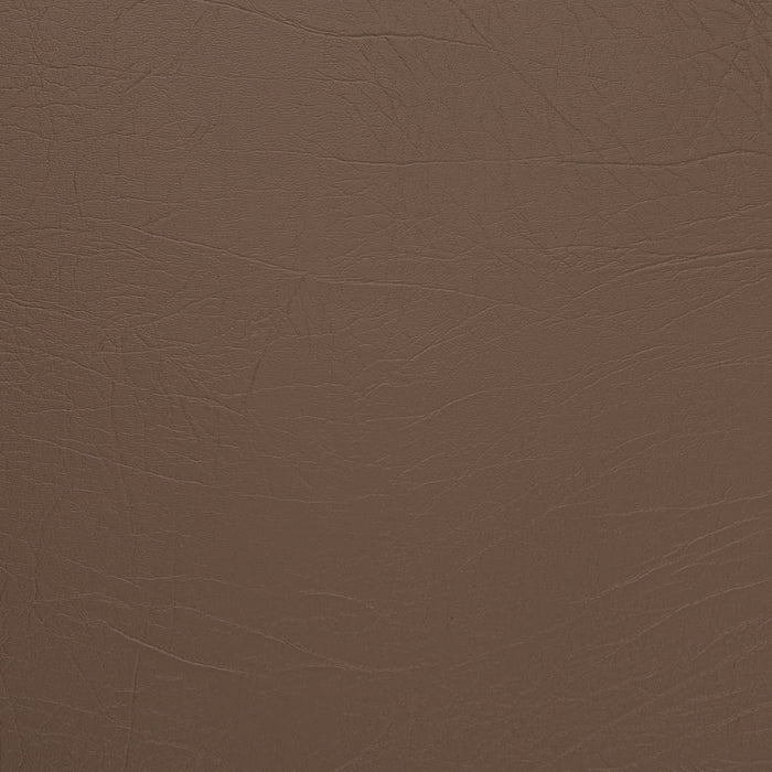 Charlotte V1012 Hazelnut Fabric Sample