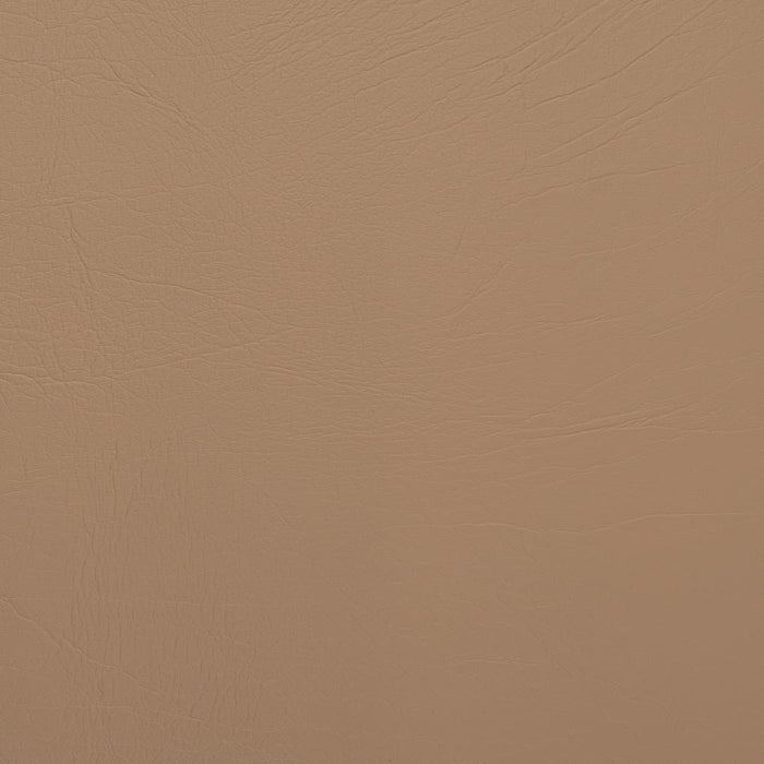 Charlotte V1013 Tan Fabric Sample